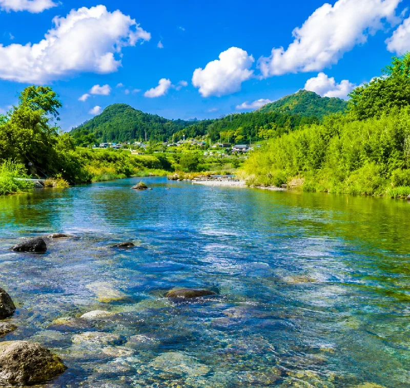 三間川合流点付近