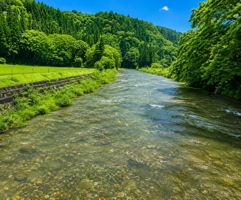 高時川野神橋周辺