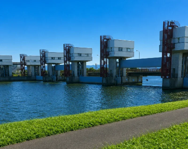 大同川水門周辺