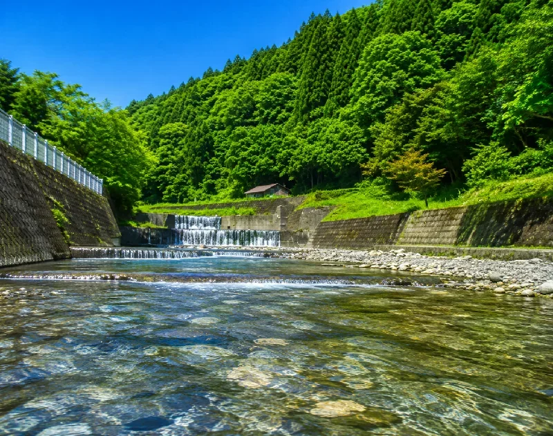 黒滝遊魚場
