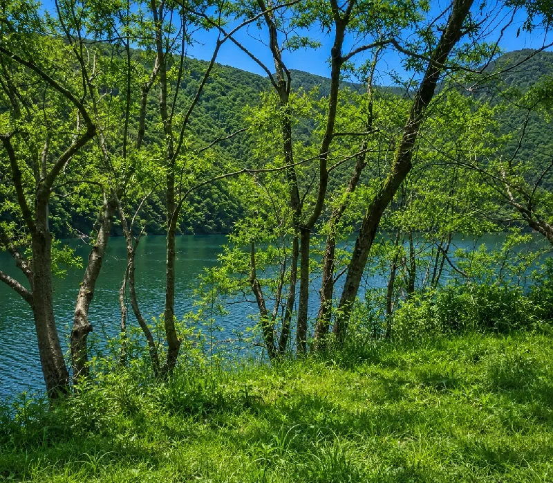 県境の岬周辺