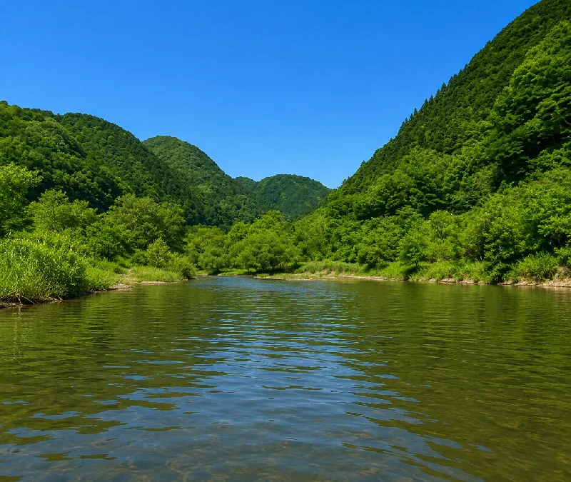 湯谷大橋周辺