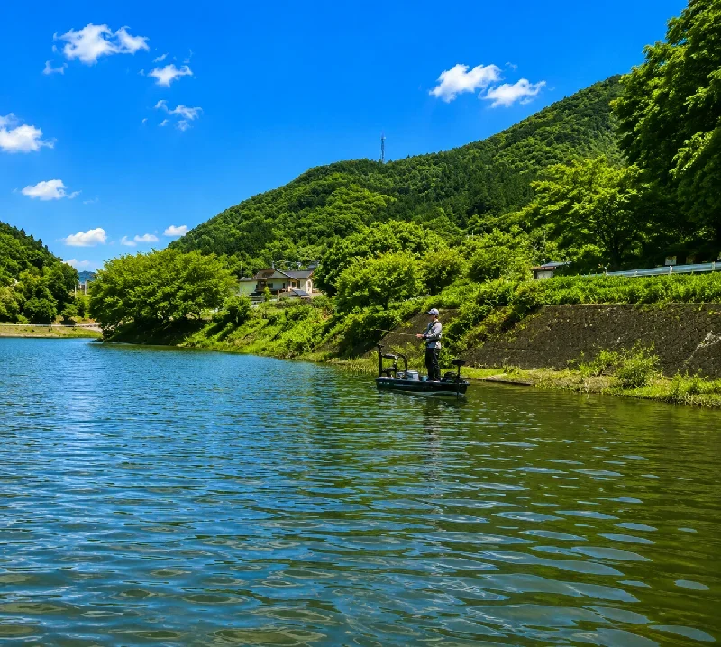 野村ダム土居橋周辺