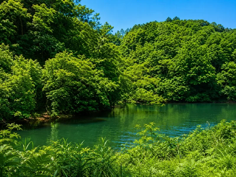 大嶺西公園対岸のワンド