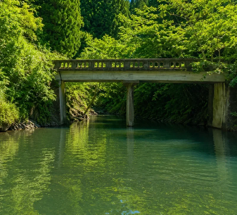 瀧谷橋周辺