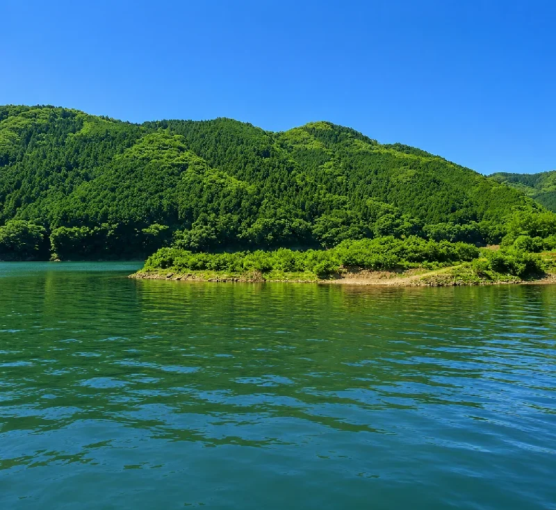 鹿野川湖大橋周辺