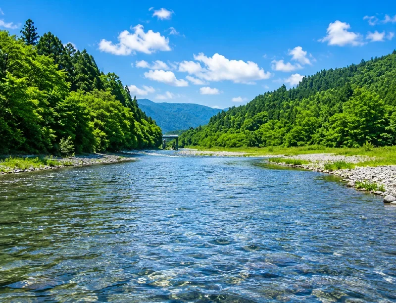 安曇川古川堰堤周辺