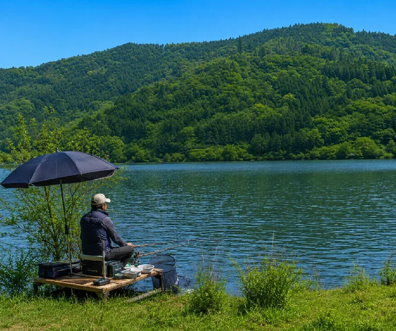 余呉湖あじさい園付近