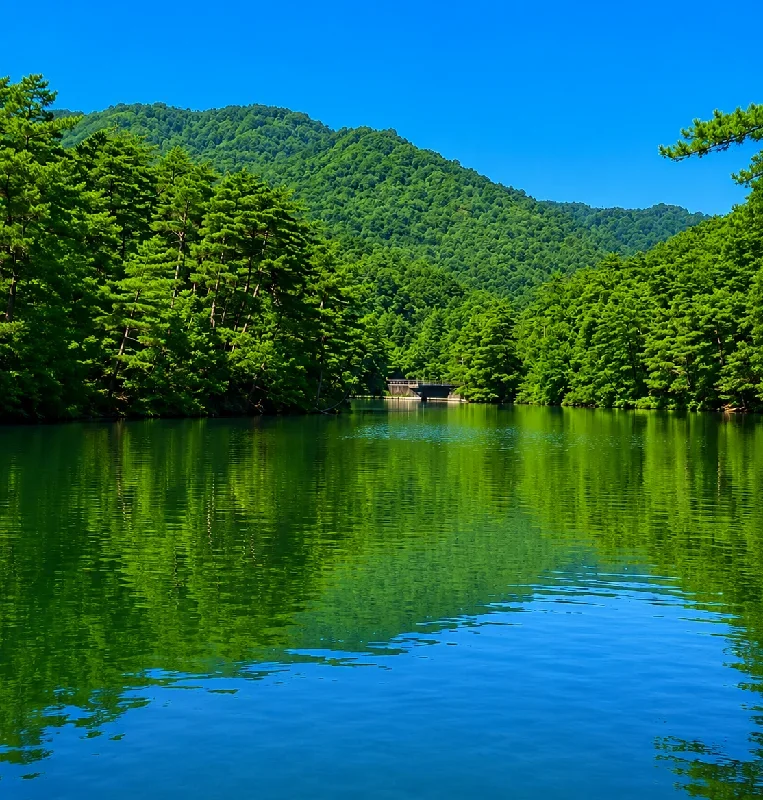通天湖南側のワンド
