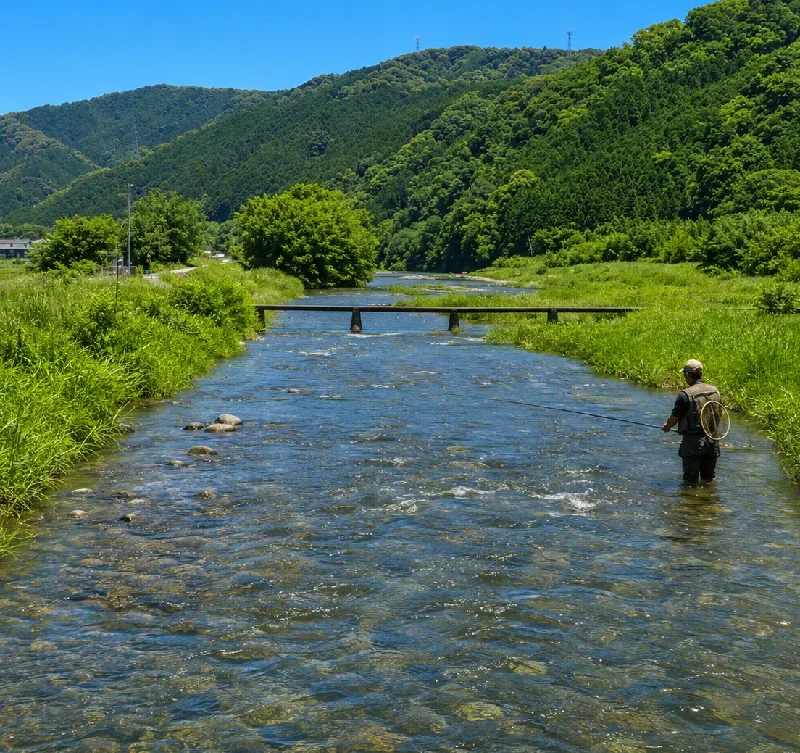 大屋戸橋周辺