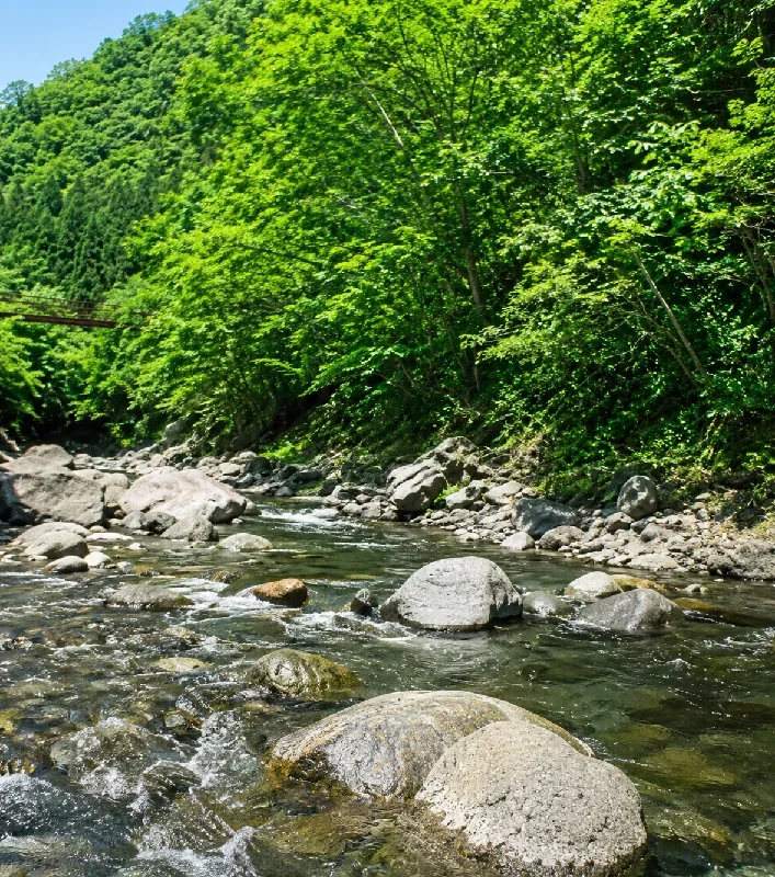 別府峡谷周辺