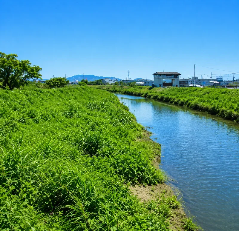 稗田橋周辺