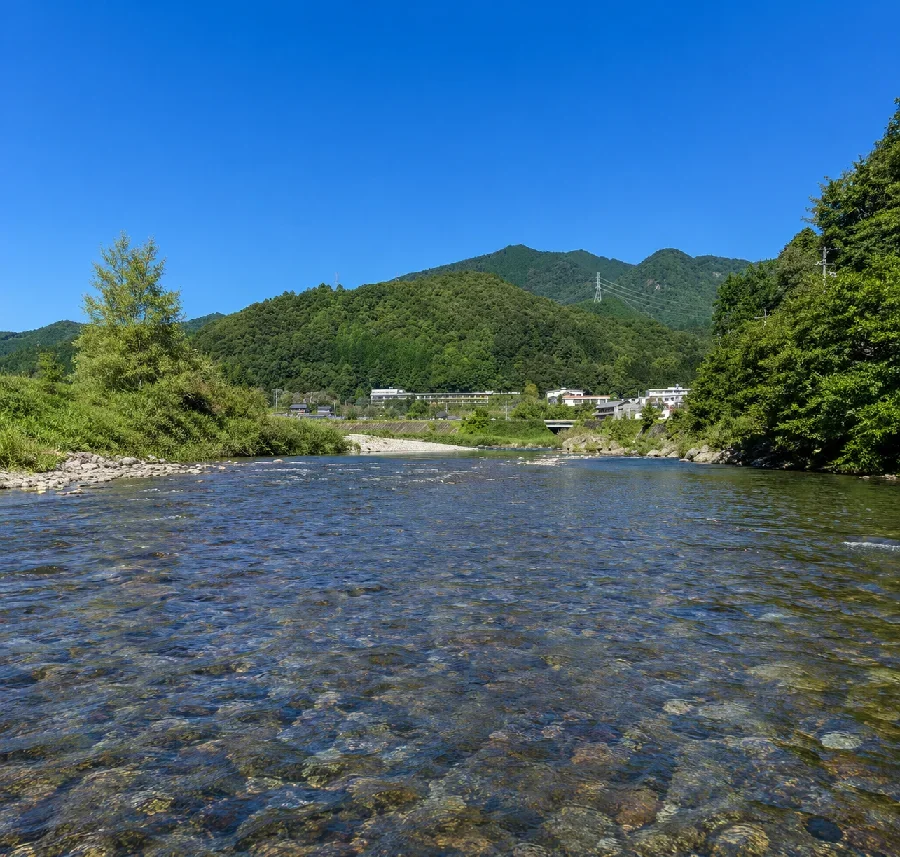 板取川蕨生大橋周辺
