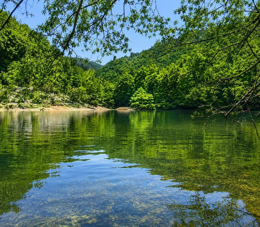 伊自良湖考洞エリア