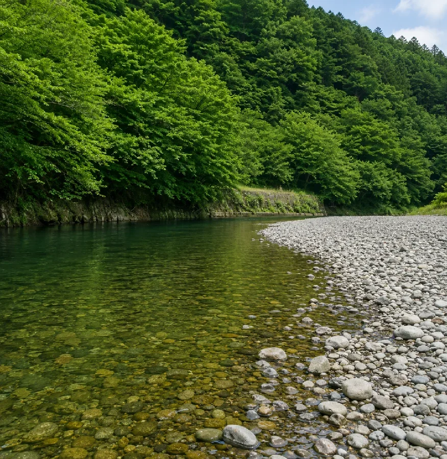 池ヶ島公園周辺