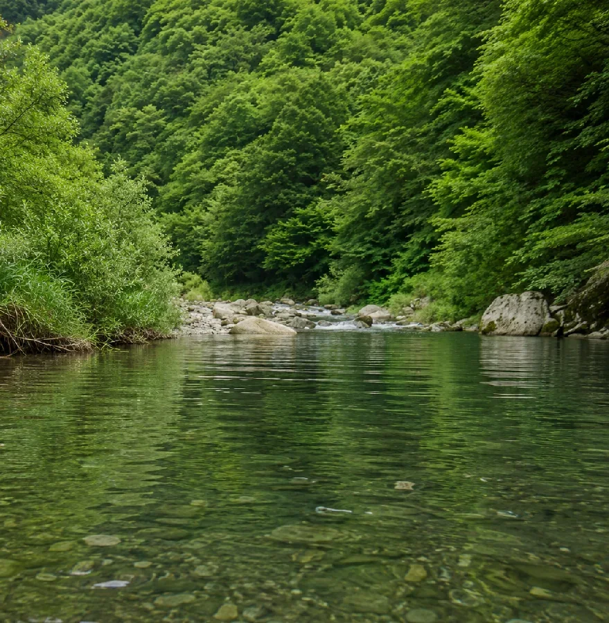 石徹白川伊月橋周辺