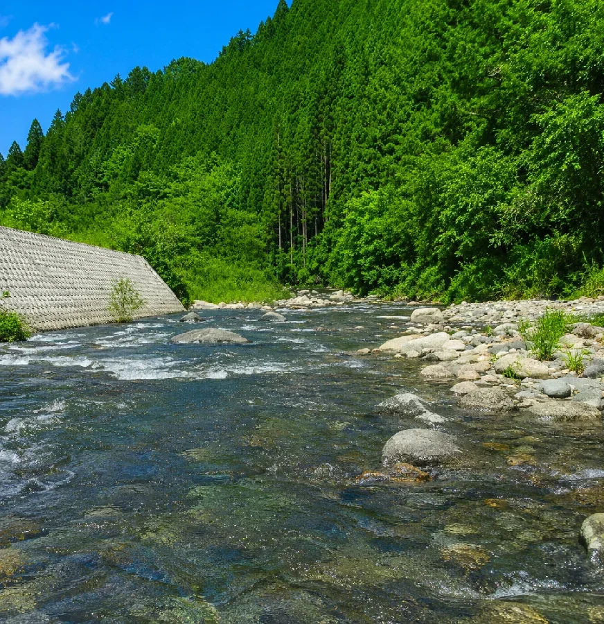 秋神川瀬之上橋周辺