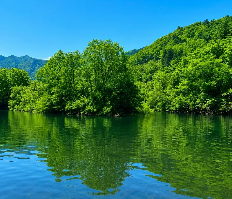 向山橋周辺