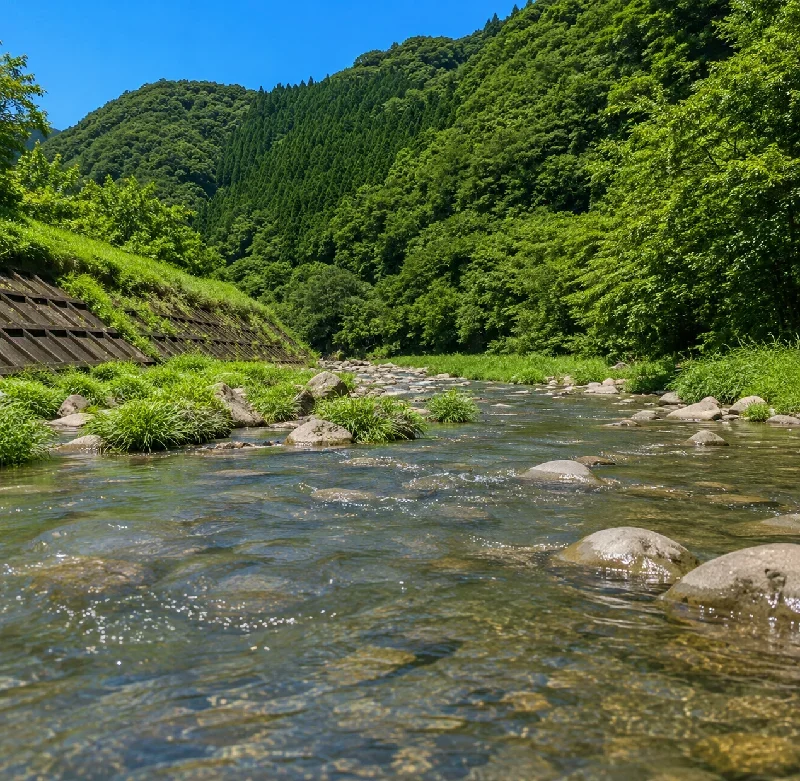 三隅川みやび湖上流