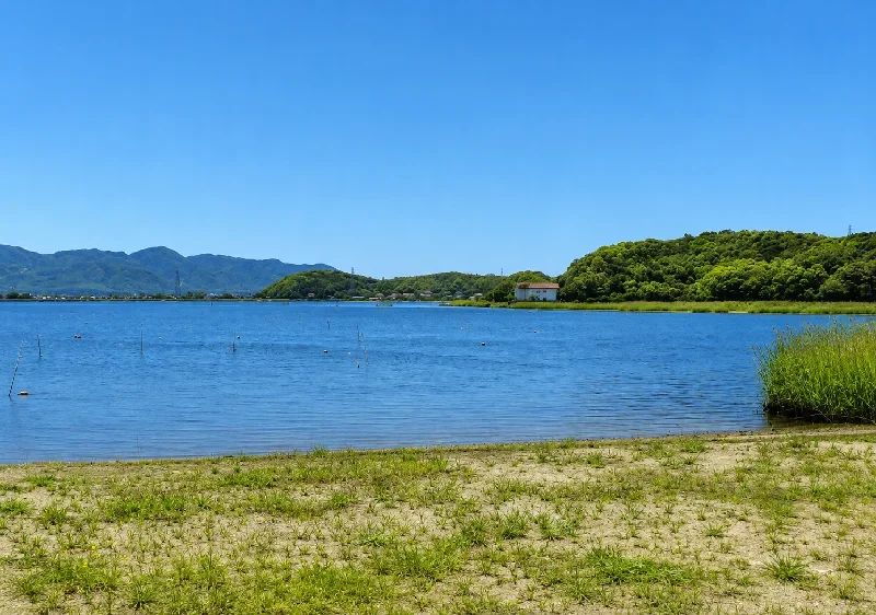 姉谷川河口周辺