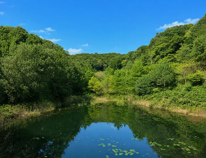 門入大橋付近