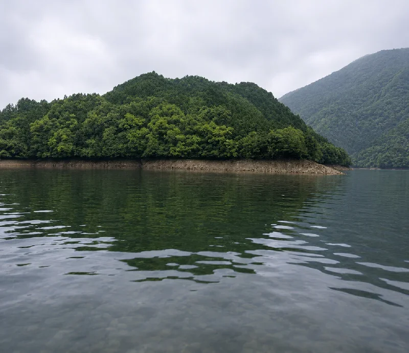 金砂湖小川ワンド