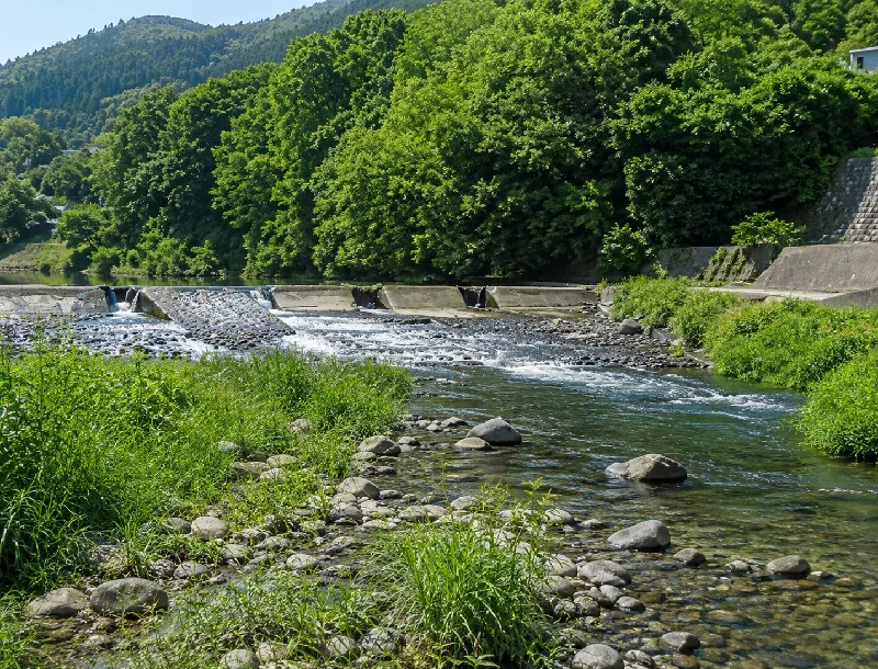 星野川大瀬橋周辺