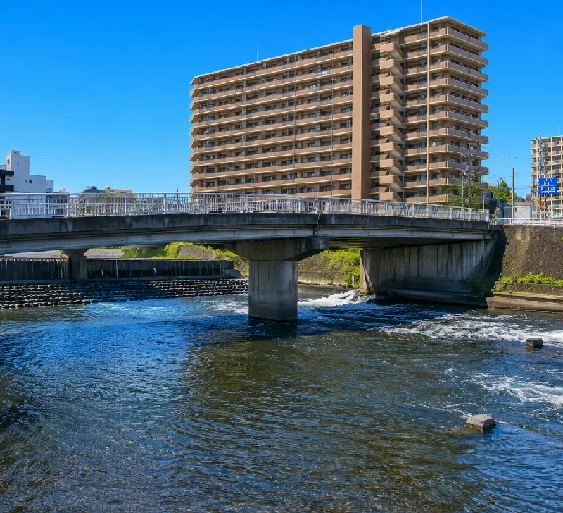 金島井堰周辺