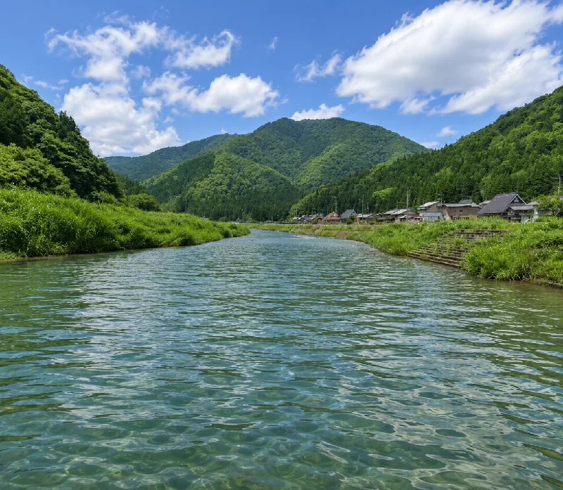 高時川菅並周辺