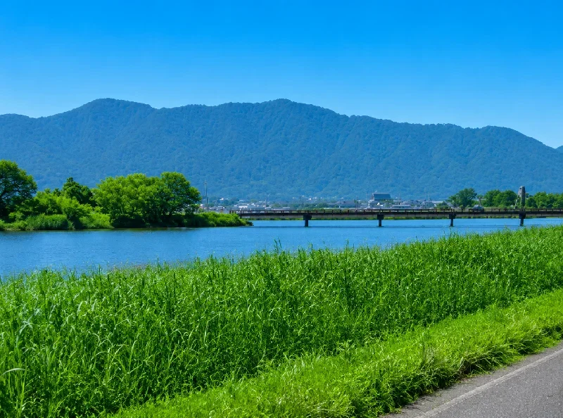 伊庭内湖接合部付近