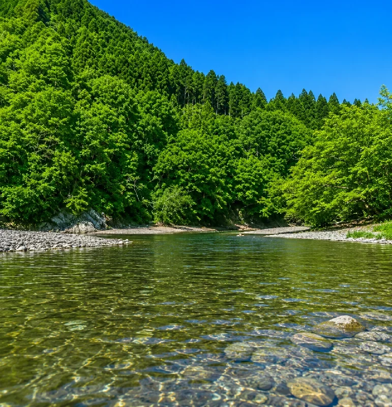 田村川大山橋周辺