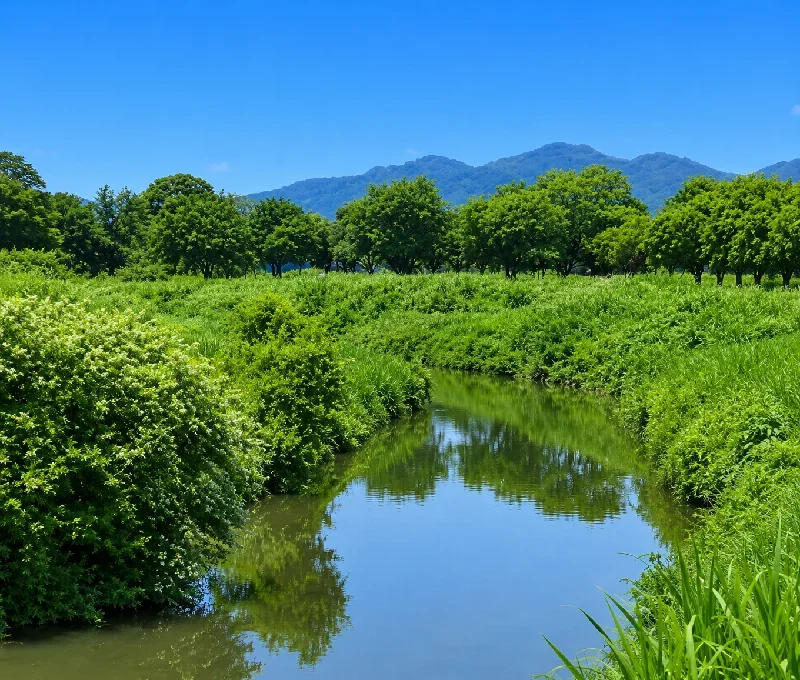 童子川合流点付近