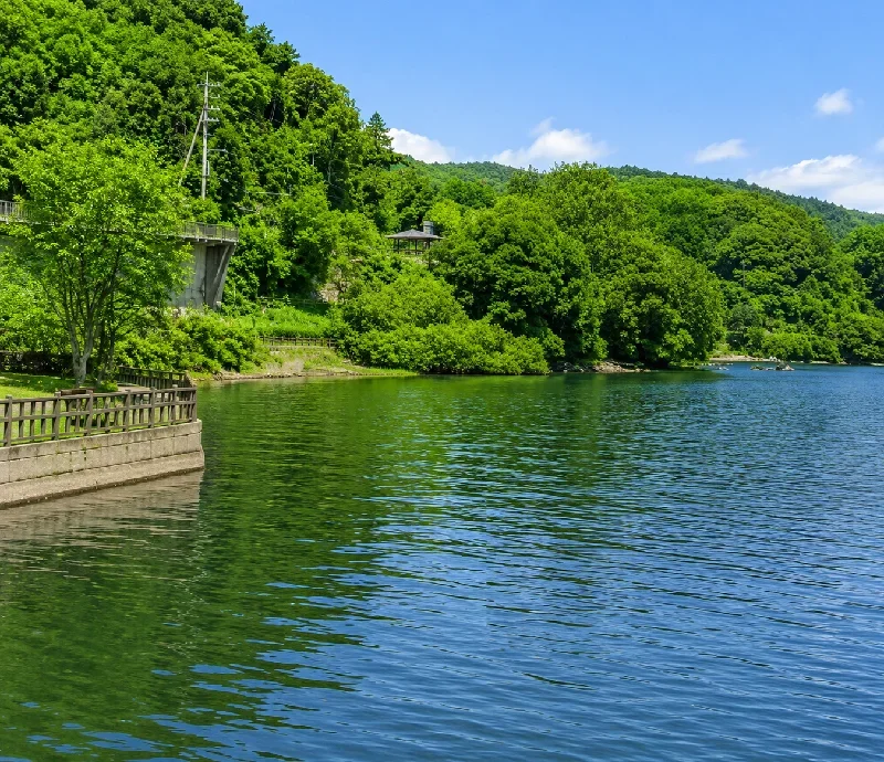 御後川インレット