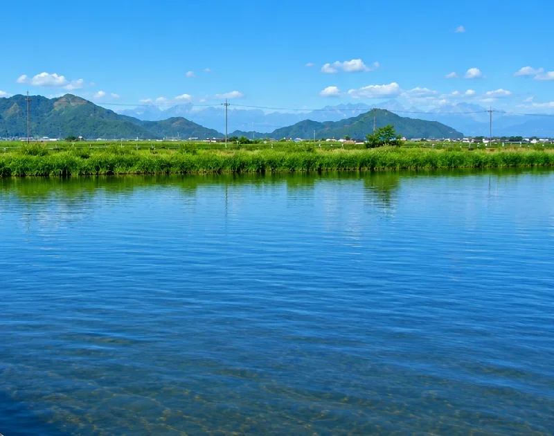 伊庭内湖大同川流出口付近