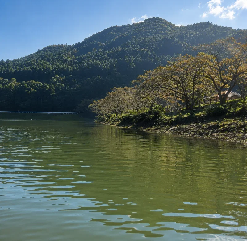 明間河川公園周辺