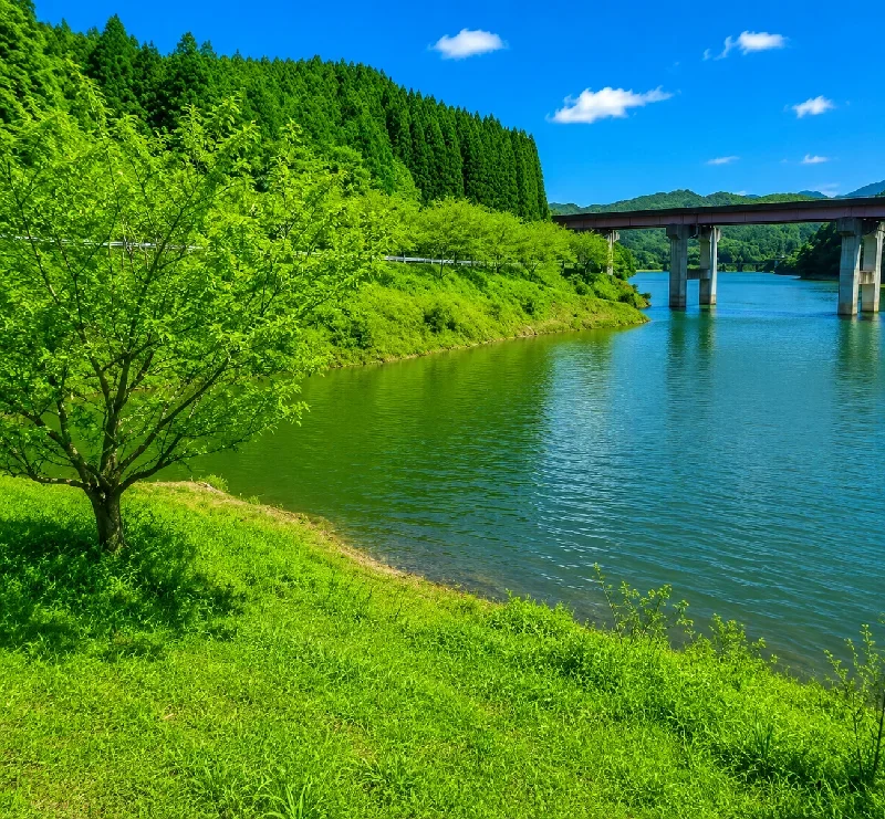 矢筈ダム北側のワンド