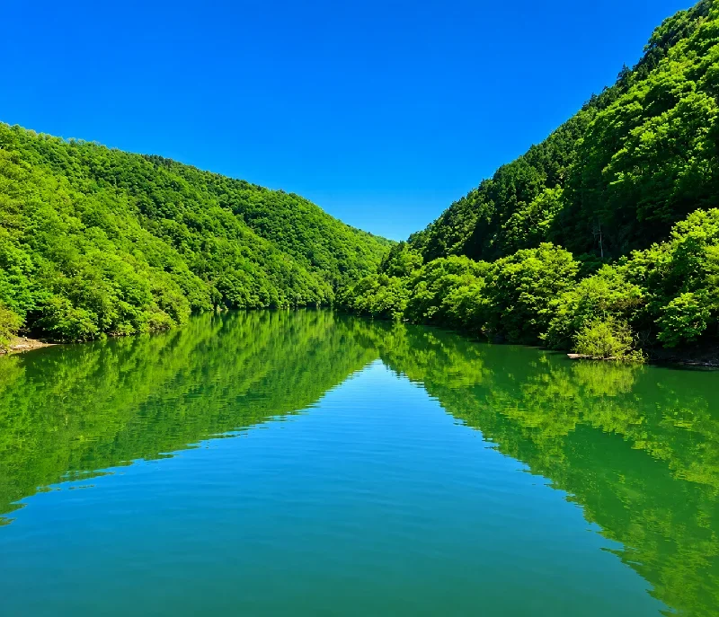 大峰橋周辺
