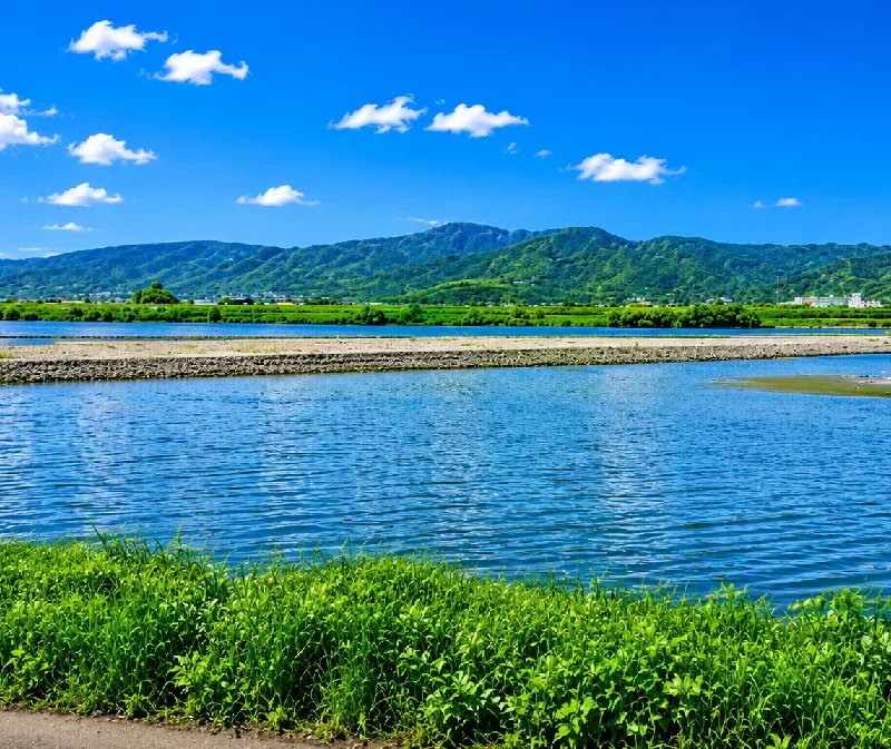 吉野川第十堰周辺