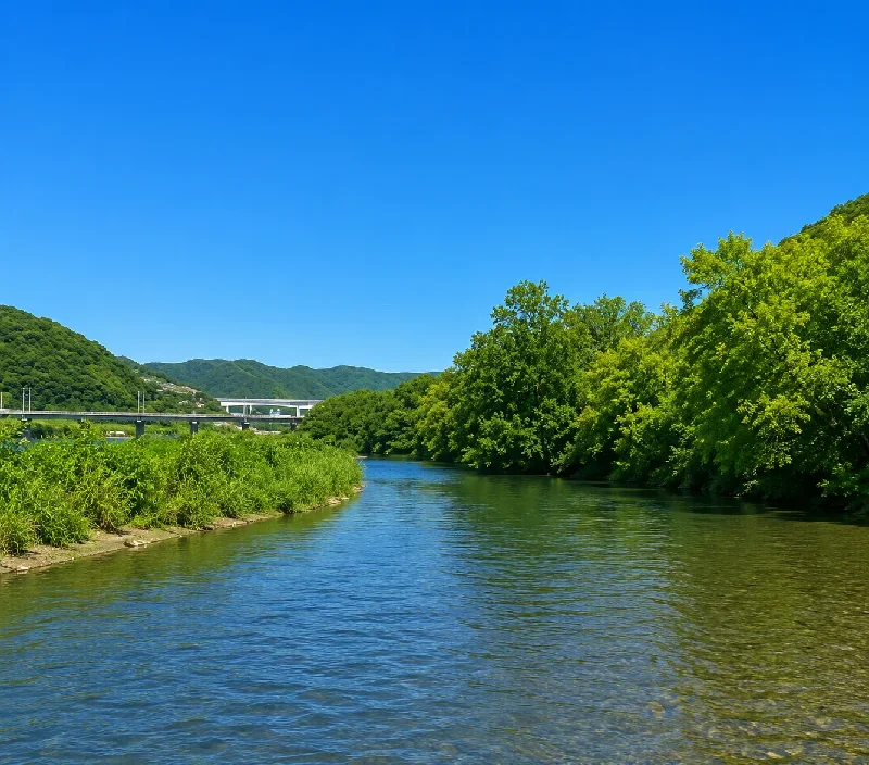 吉井川弓削橋周辺