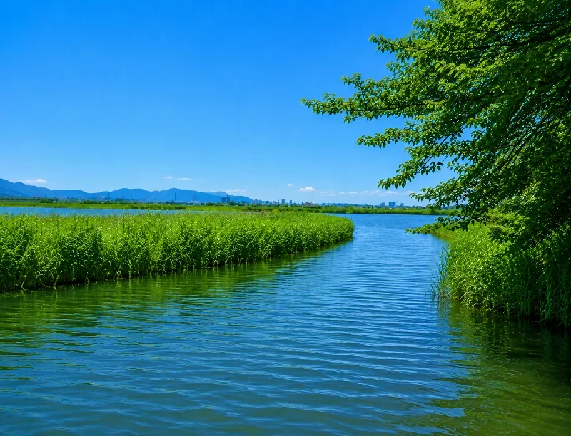 西の湖安土川インレット