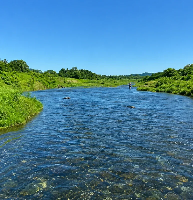 安曇川両台橋周辺