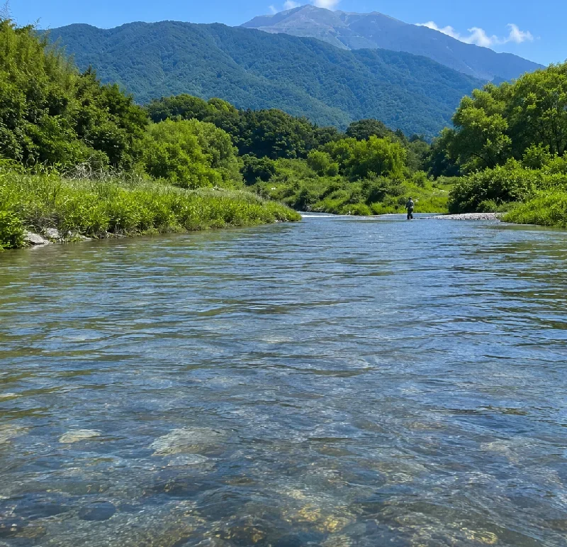 姉川草野川合流点周辺