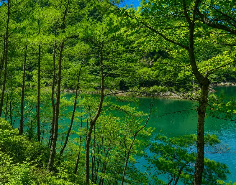 生野銀山湖第一ワンド
