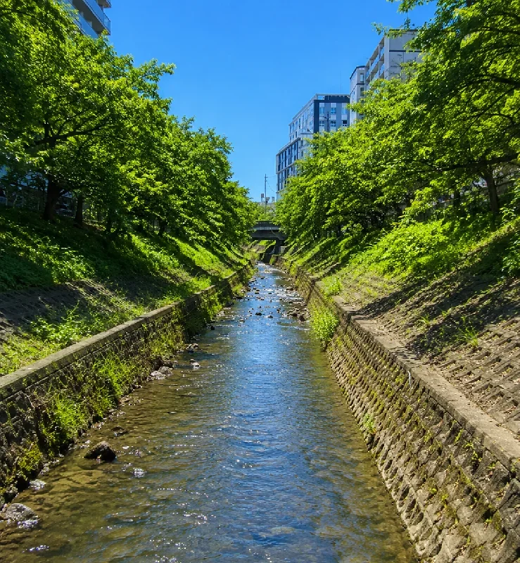 近鉄奈良線橋梁周辺