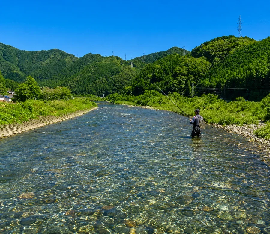 板取川和紙の里大橋周辺
