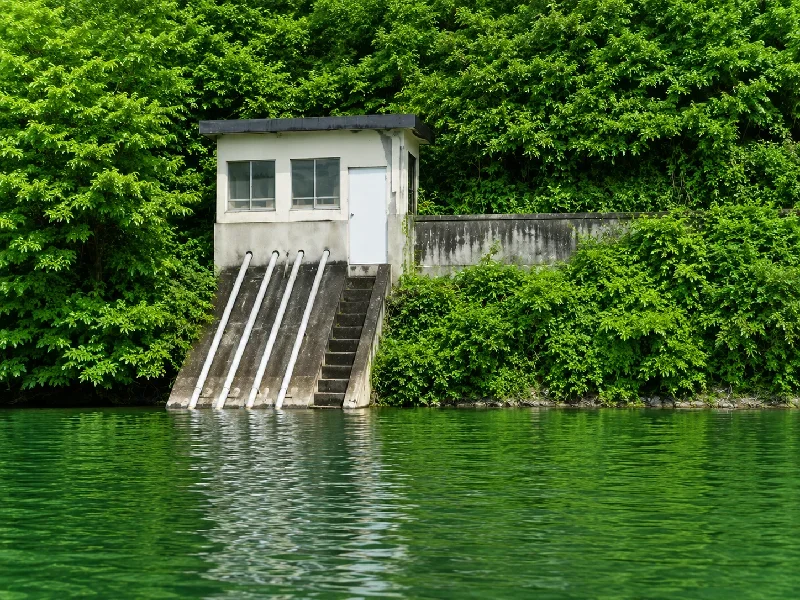 桜池管理釣場排水口周辺