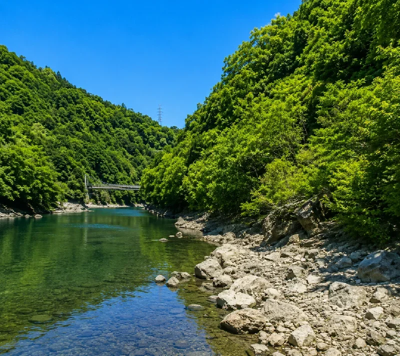 宇治川天ヶ瀬吊り橋周辺
