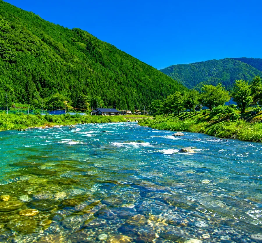 馬瀬川本郷橋周辺