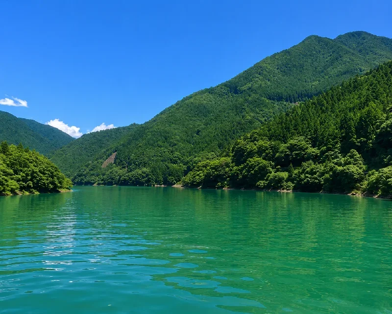 風屋ダム新川津大橋周辺