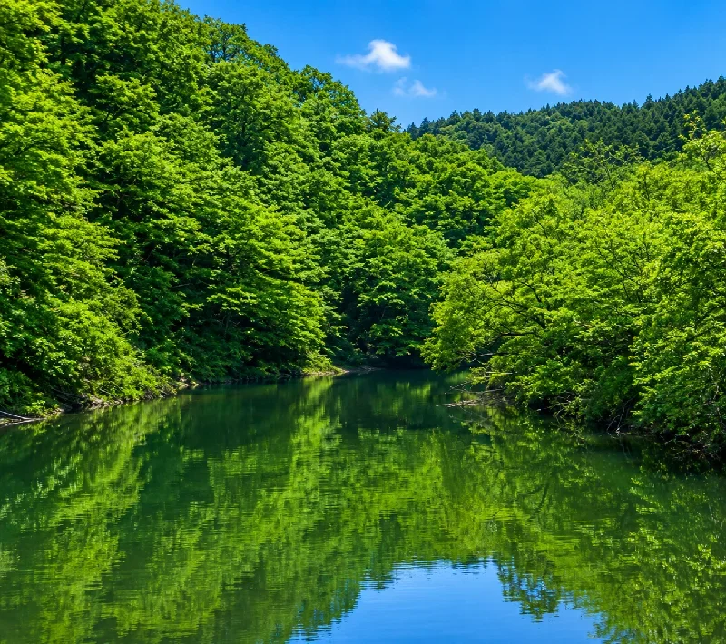 白根川バックウォーター